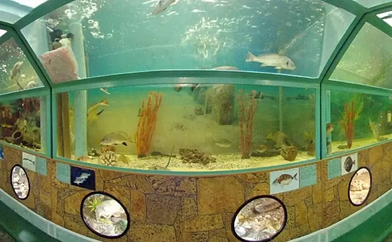 Морской аквариум Батискаф