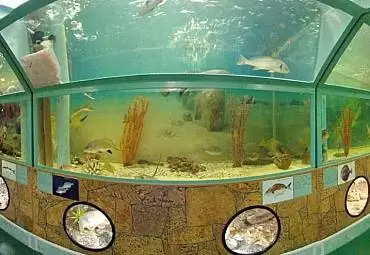 Морской аквариум Батискаф